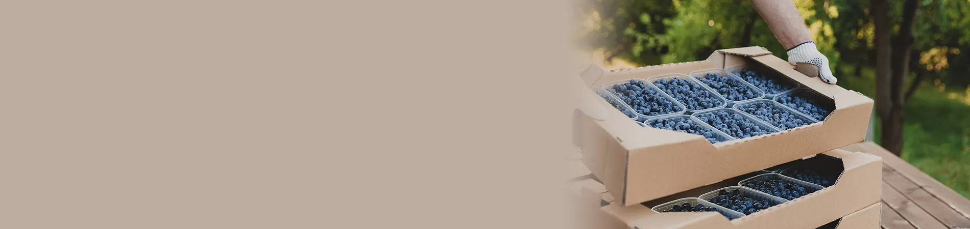 Berry Packaging Company