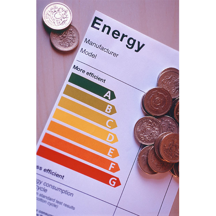 New Energy Label