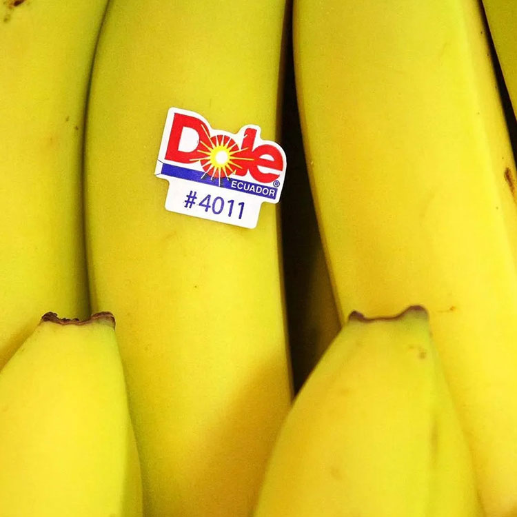 Fruit Labels